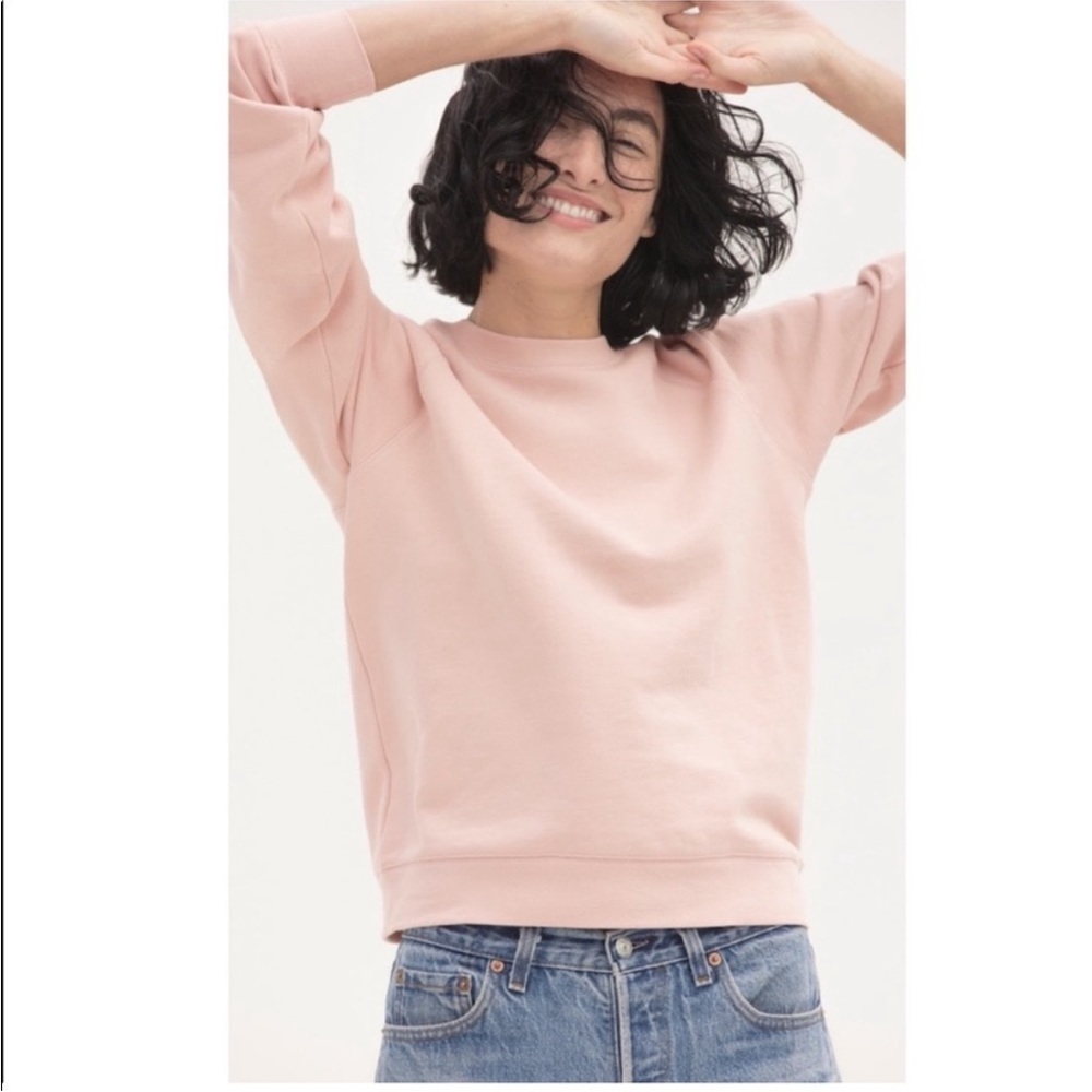 Everlane Pink Sweatshirt
